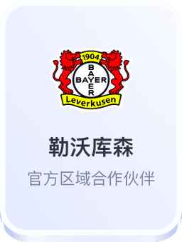勒沃库森-开云体育官方区域合作伙伴